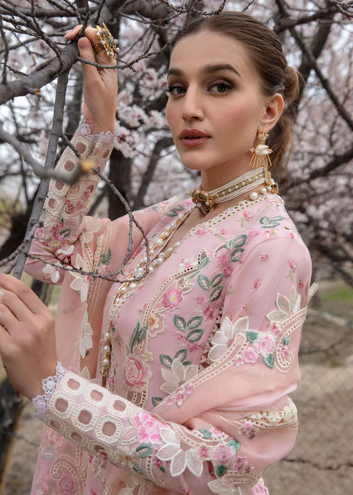 Luxury Embroidered Lawn & Organza 3-Piece Unstitched Suit with Chikan Kari Work